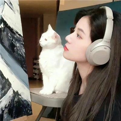 黑猫鲁道夫
